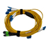 High Quality SM SX Jumper MTP/MPO - LC Cable 24 Fiber PVC/LSZH Fiber Optic Patch Cord