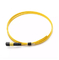 Singlemode 12 Fiber Fiber Optic Patch Cord MPO/MTP Fiber Optic Pigtail