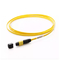 Singlemode 12 Fiber Fiber Optic Patch Cord MPO/MTP Fiber Optic Pigtail