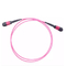 Low Insert Loss MPO / MTP Fiber Optic Patch Cord for Data Center