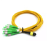 Fiber Optic OM3/OM4/OM5 Cable SC LC MPO MTP Optical Fiber Patch Cord