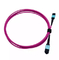 MPO OM4 12-Fiber Jumper MM Fiber Optic Patch Cord Aqua / Violet