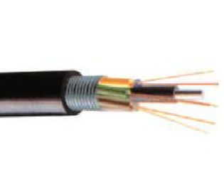 Câble blindé extérieur de fibre de bande de GYTS de tube blindé lâche en acier de couche