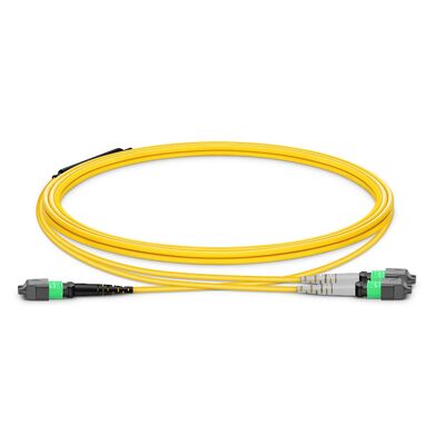 Qualité MTP Breakout Cable avec 0,35dB faible IL et 8° APC Endface pour les liaisons de centre de données de sécurité incendie classées OFNP Usine